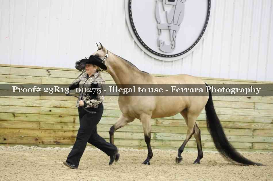 Proof Number 23R13_00275