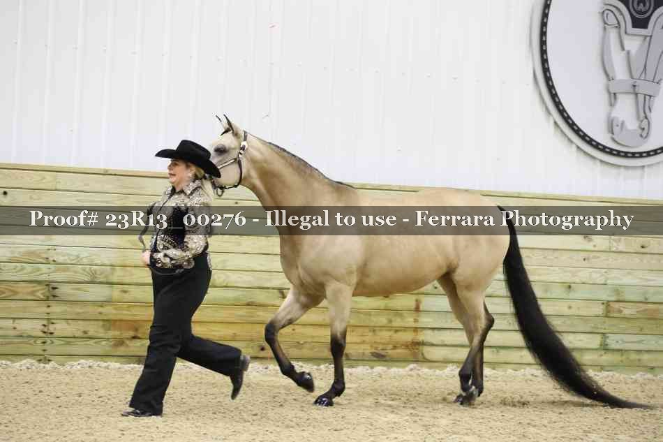 Proof Number 23R13_00276