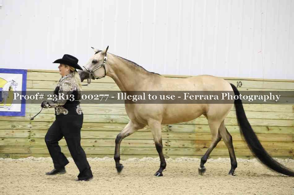 Proof Number 23R13_00277