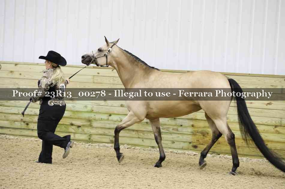 Proof Number 23R13_00278