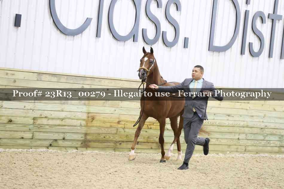 Proof Number 23R13_00279