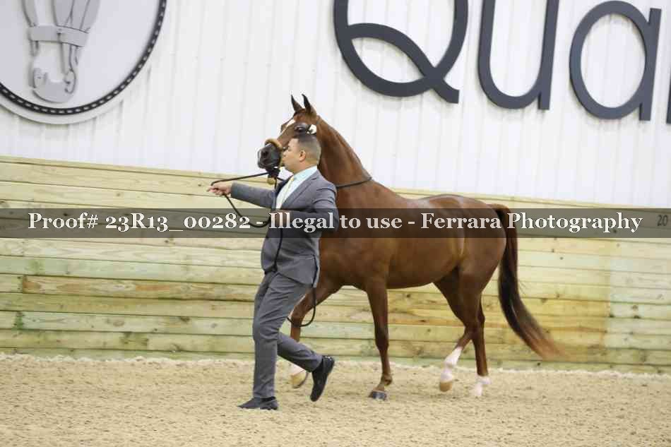 Proof Number 23R13_00282