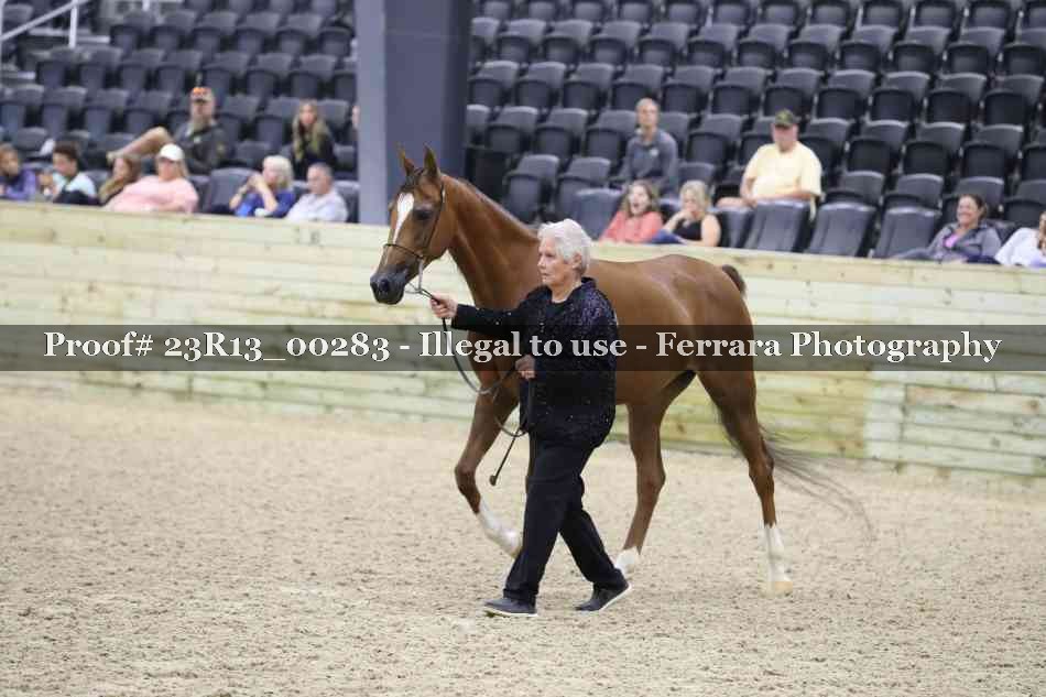 Proof Number 23R13_00283