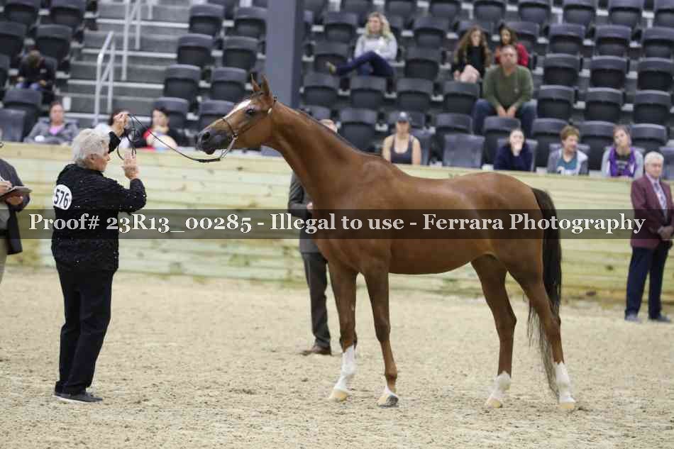 Proof Number 23R13_00285