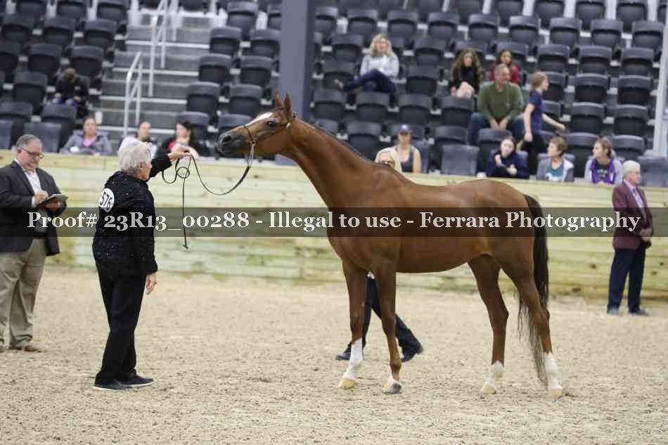 Proof Number 23R13_00288