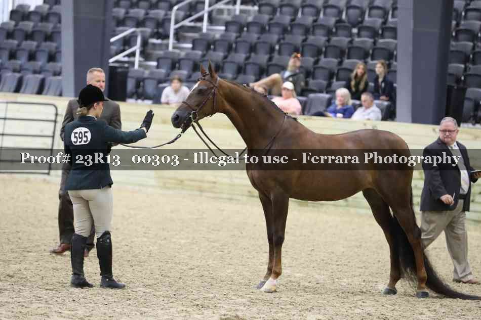 Proof Number 23R13_00303