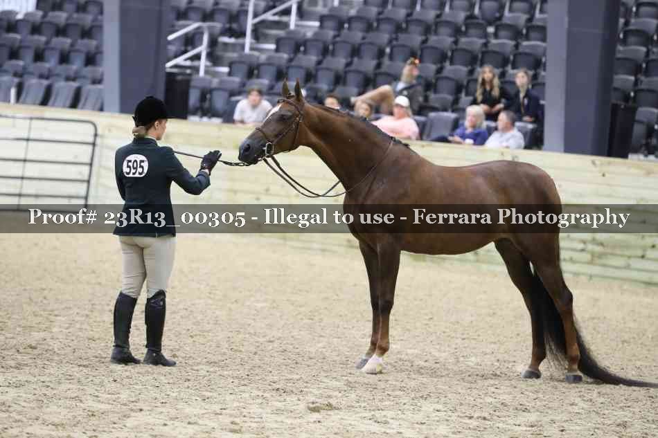 Proof Number 23R13_00305