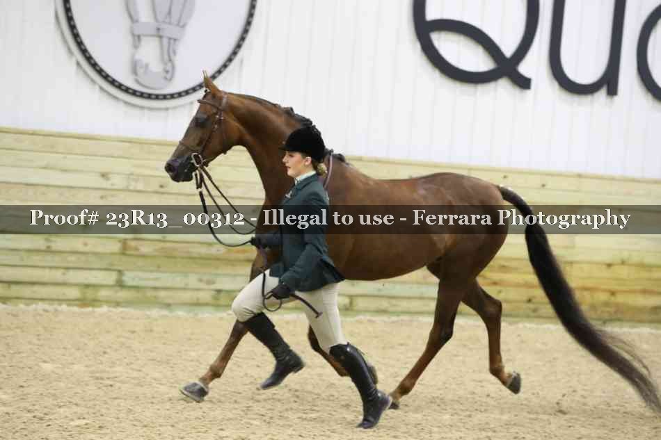 Proof Number 23R13_00312