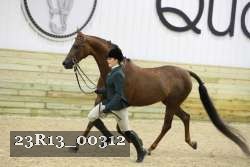 23R13_00312 thumbnail