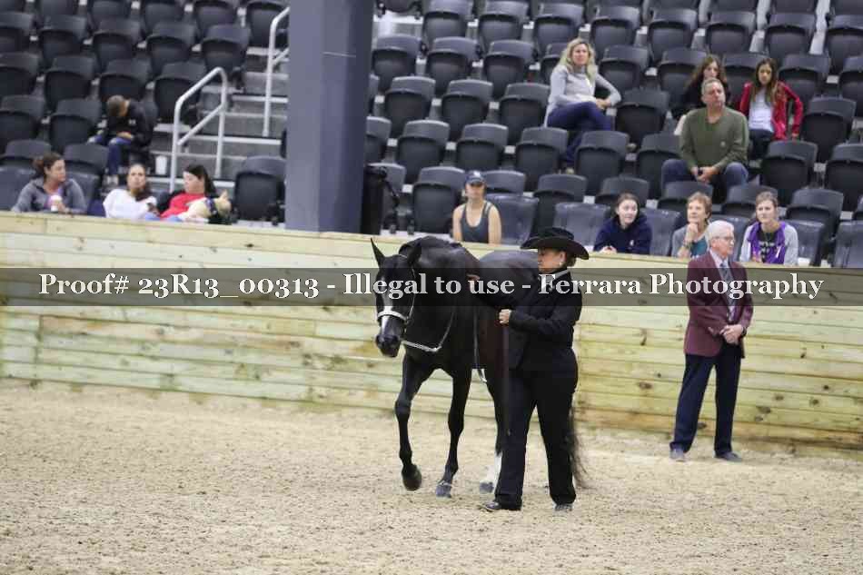 Proof Number 23R13_00313