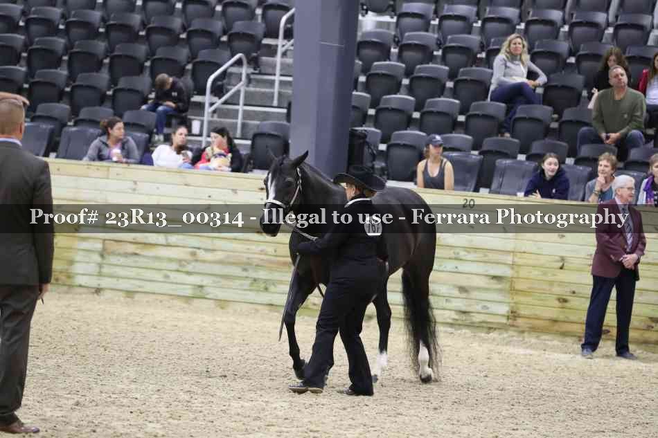Proof Number 23R13_00314