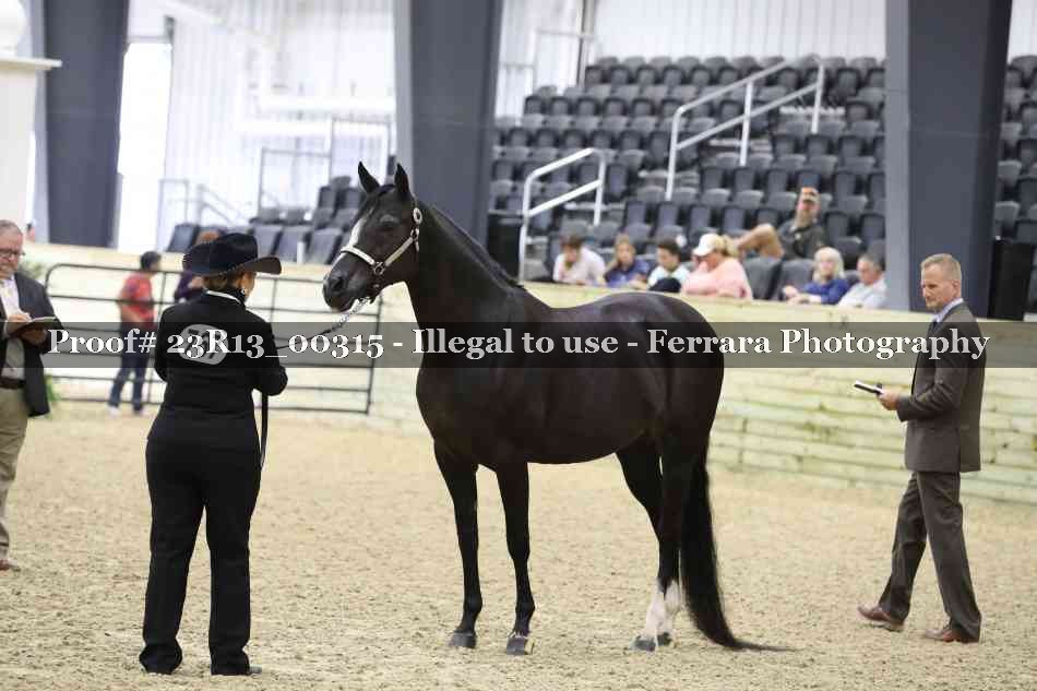 Proof Number 23R13_00315