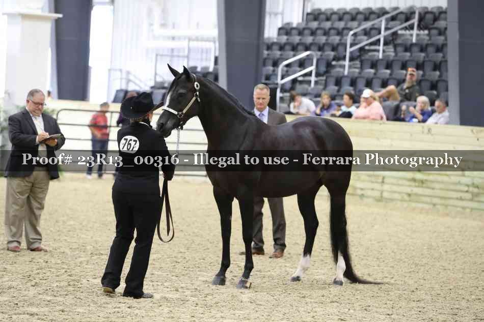 Proof Number 23R13_00316