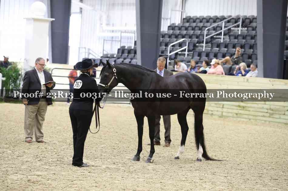 Proof Number 23R13_00317
