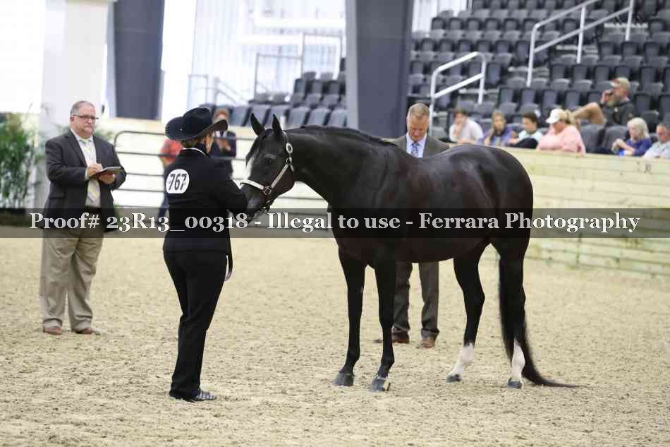 Proof Number 23R13_00318