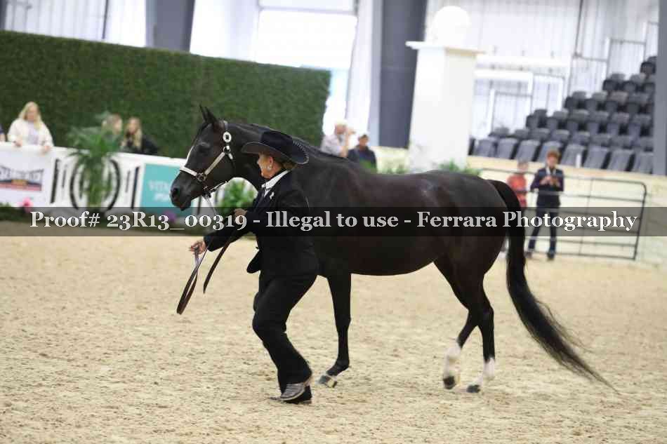Proof Number 23R13_00319