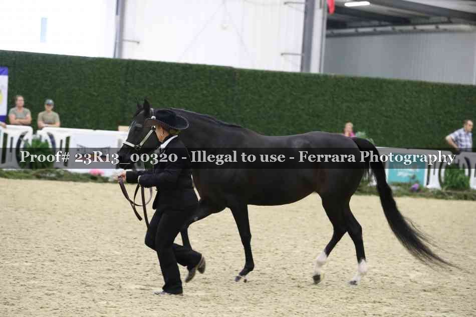 Proof Number 23R13_00320