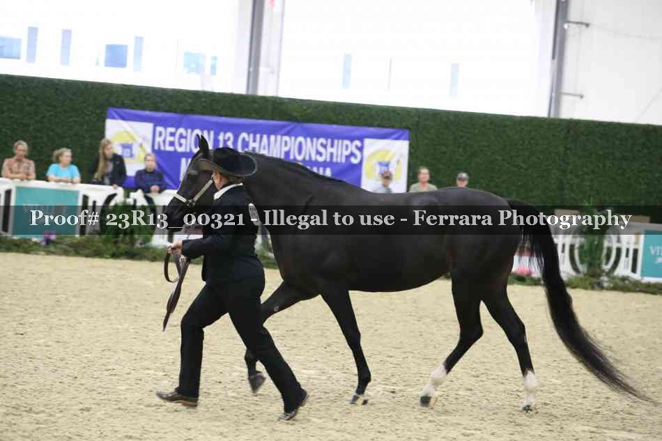 Proof Number 23R13_00321