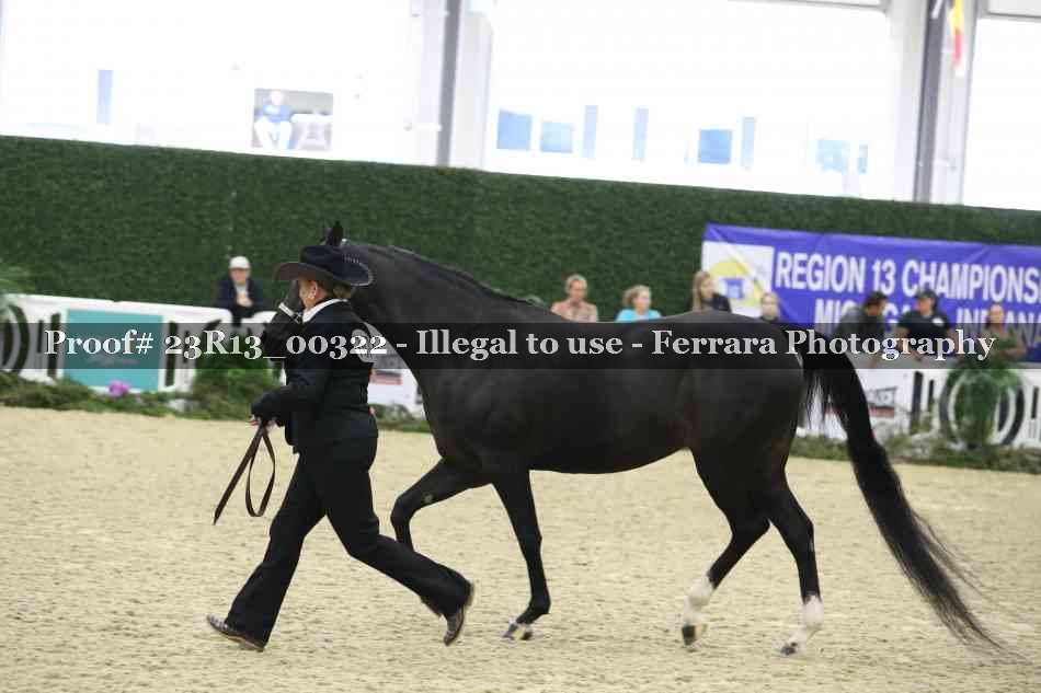 Proof Number 23R13_00322