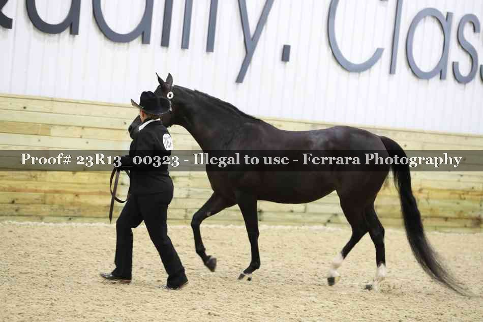 Proof Number 23R13_00323