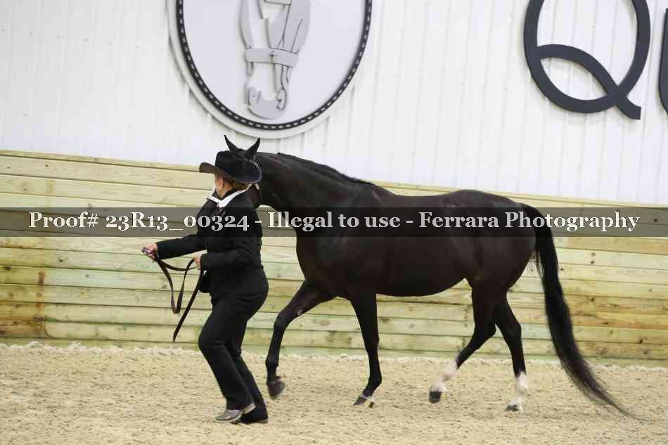 Proof Number 23R13_00324