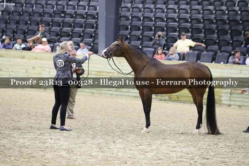 Proof Number 23R13_00328