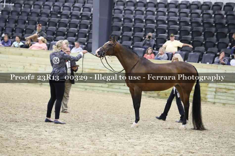 Proof Number 23R13_00329