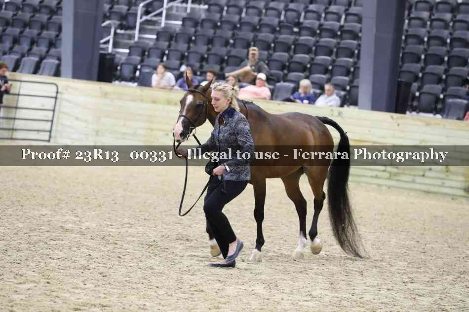 Proof Number 23R13_00331