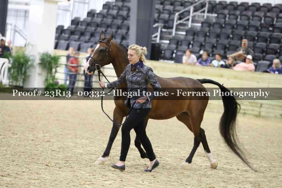 Proof Number 23R13_00332