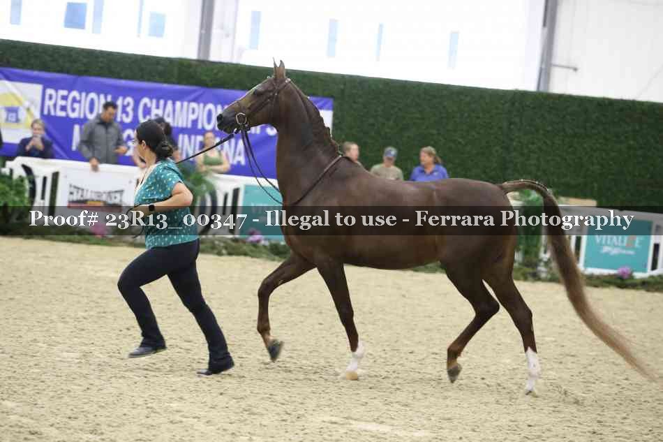Proof Number 23R13_00347