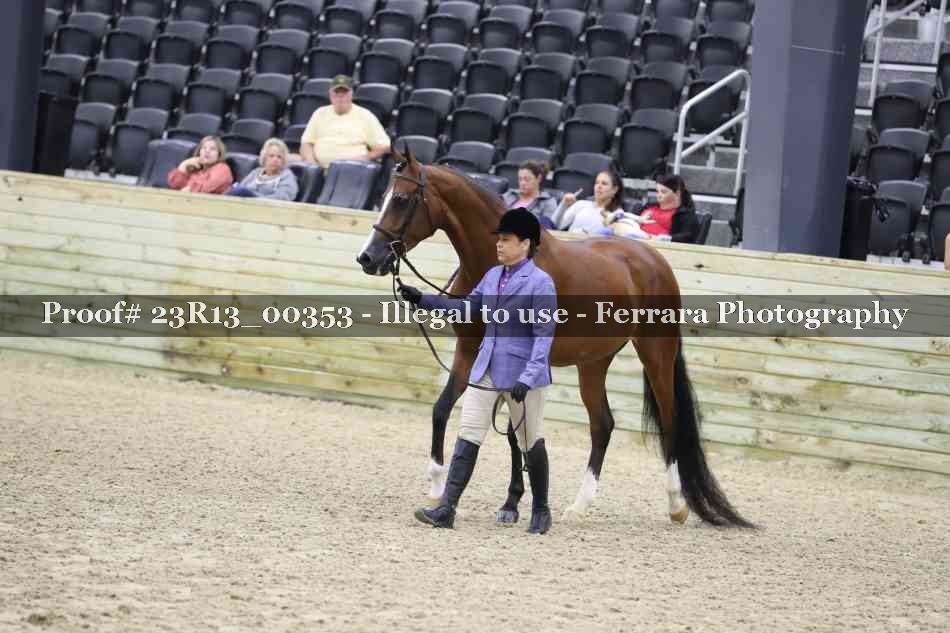 Proof Number 23R13_00353