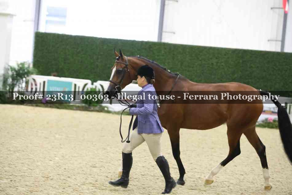 Proof Number 23R13_00363