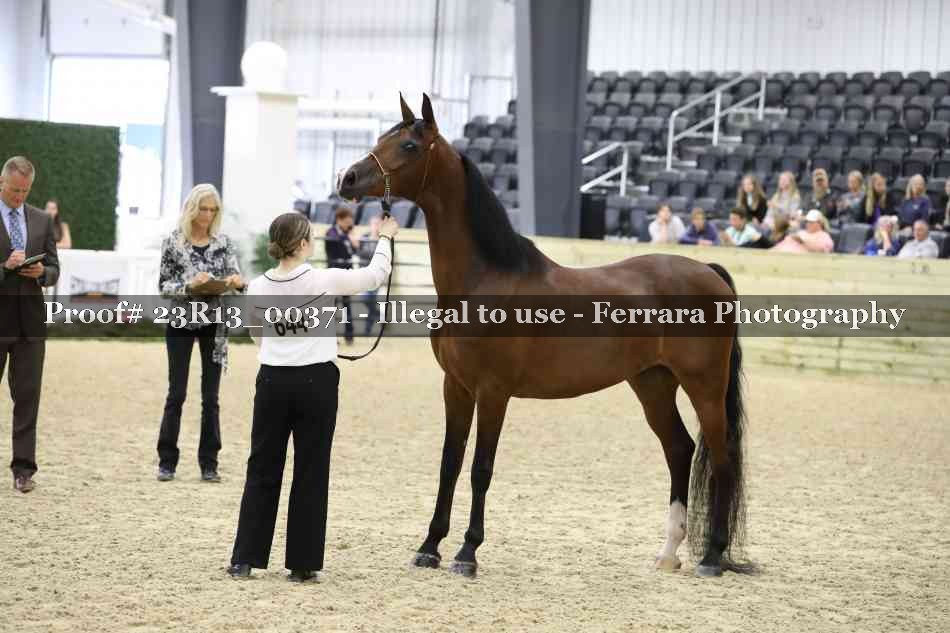 Proof Number 23R13_00371