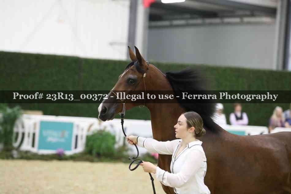 Proof Number 23R13_00372
