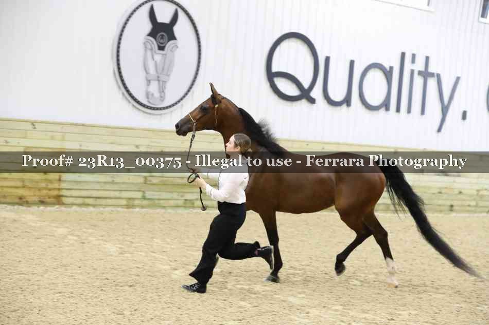 Proof Number 23R13_00375