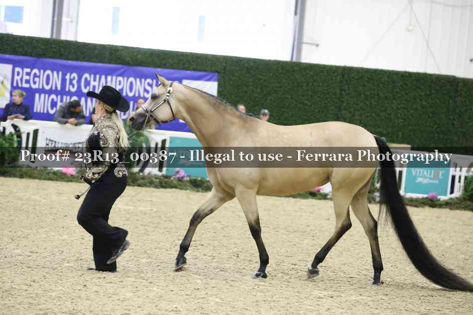 Proof Number 23R13_00387