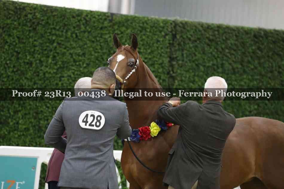 Proof Number 23R13_00438