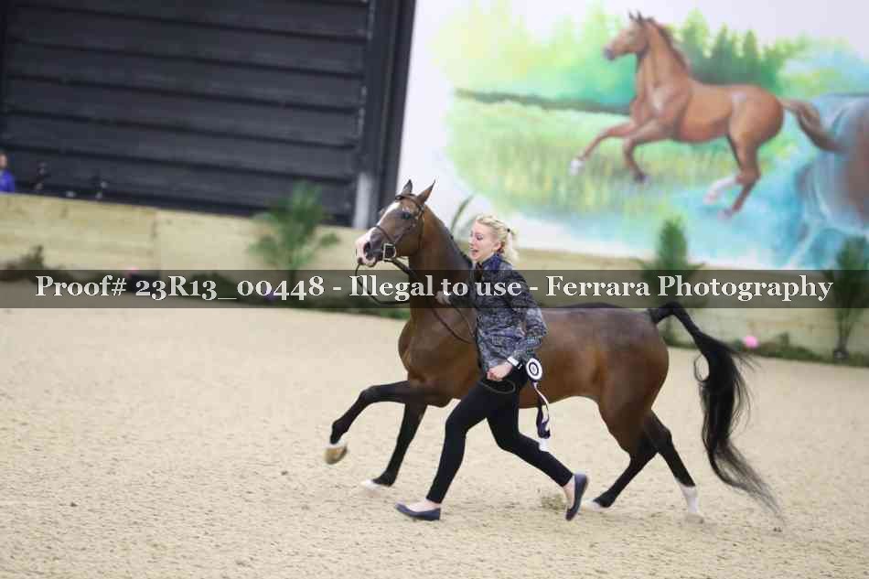 Proof Number 23R13_00448