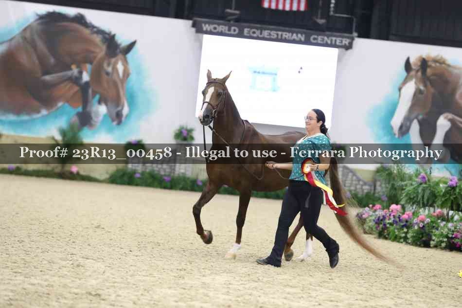 Proof Number 23R13_00458