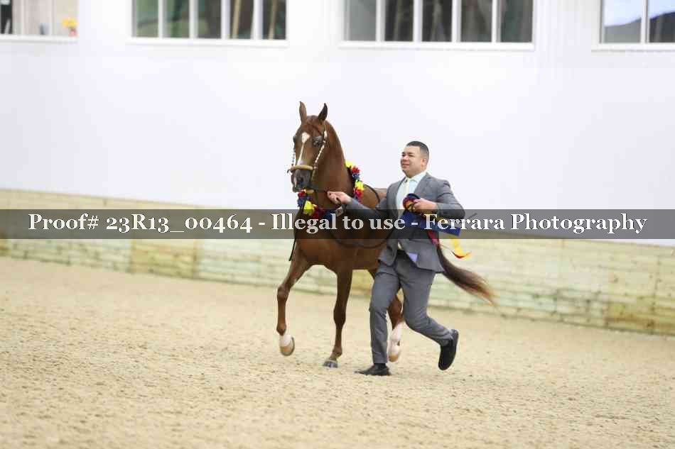 Proof Number 23R13_00464