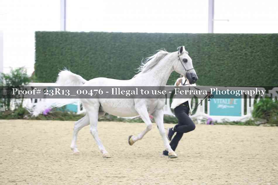 Proof Number 23R13_00476