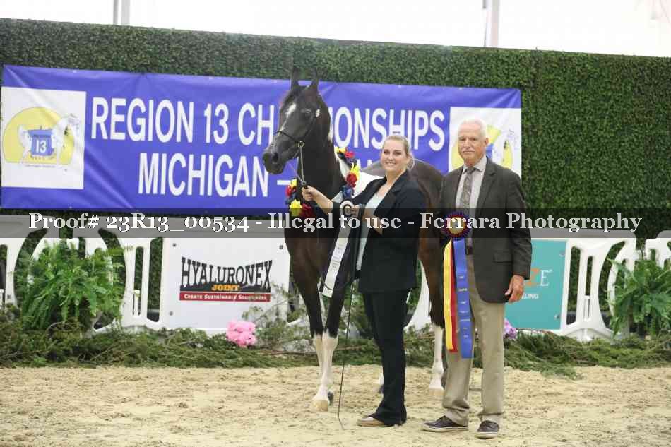 Proof Number 23R13_00534