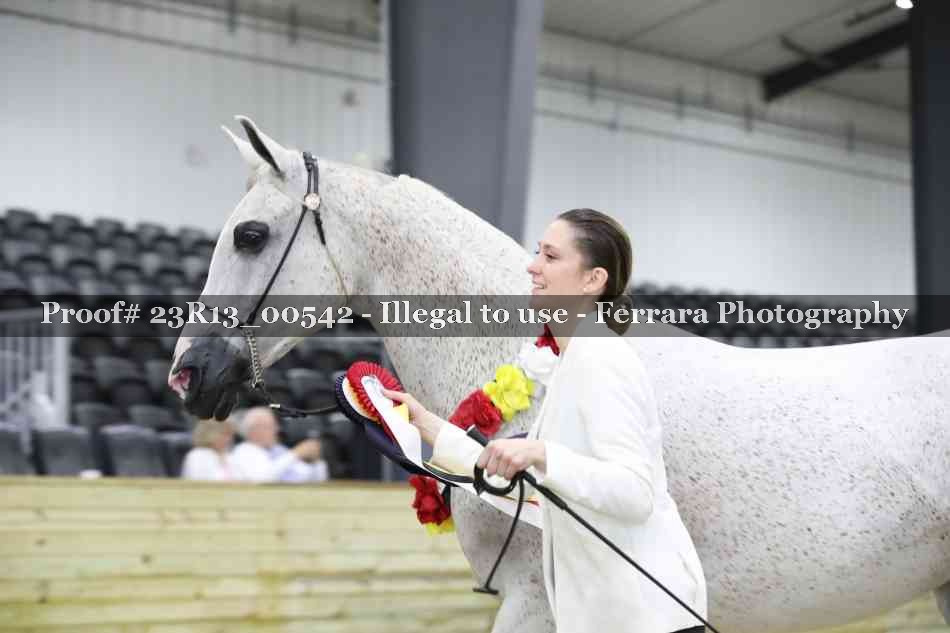 Proof Number 23R13_00542