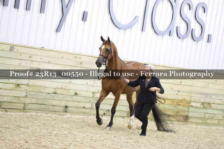 Proof Number 23R13_00550
