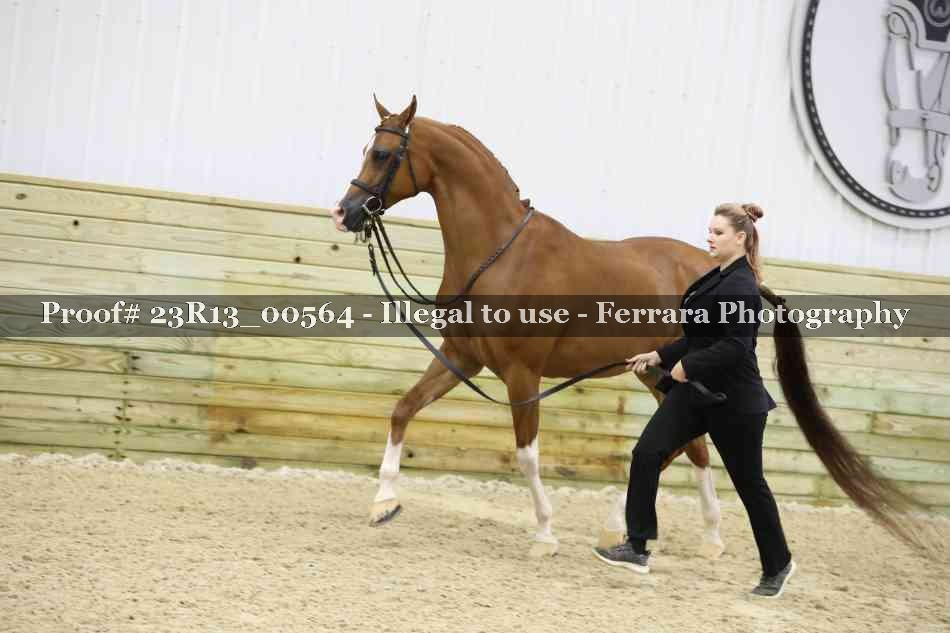 Proof Number 23R13_00564