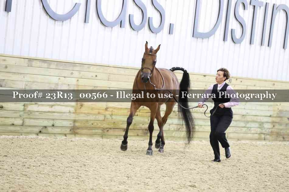 Proof Number 23R13_00566