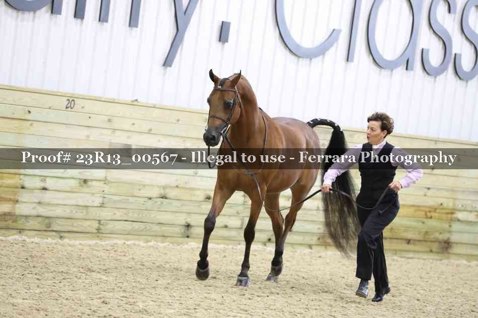 Proof Number 23R13_00567