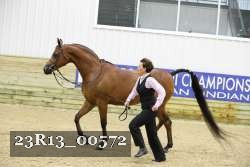 23R13_00572 thumbnail