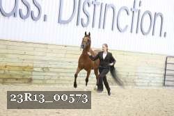 23R13_00573 thumbnail