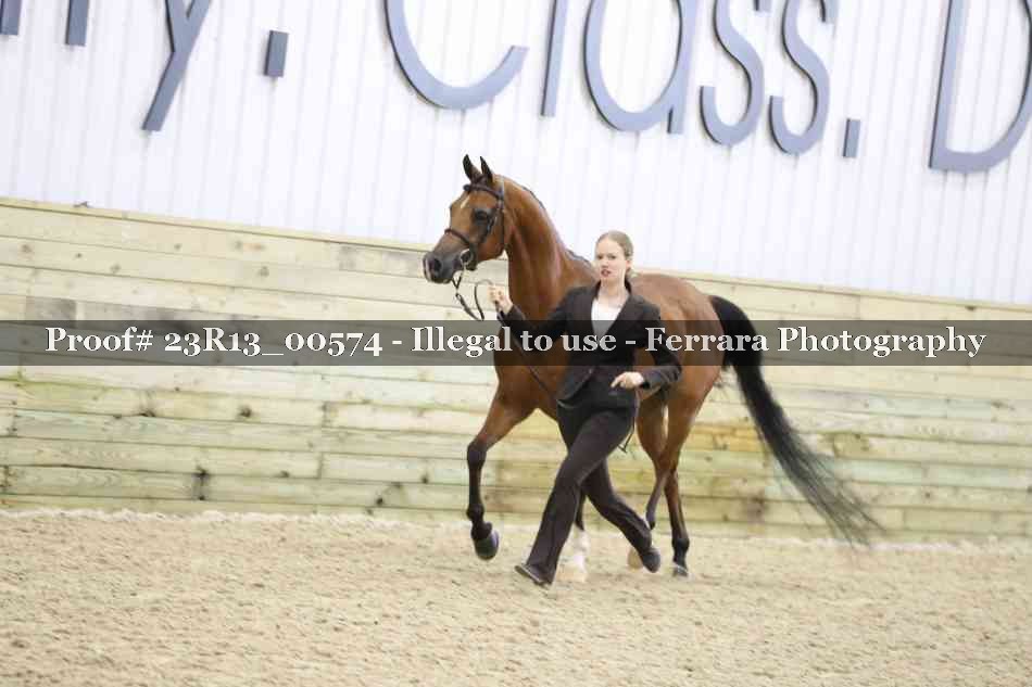 Proof Number 23R13_00574